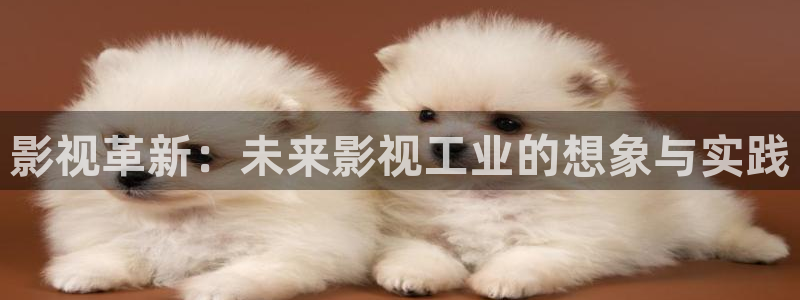 影视革新：未来影视工业的想象与实践