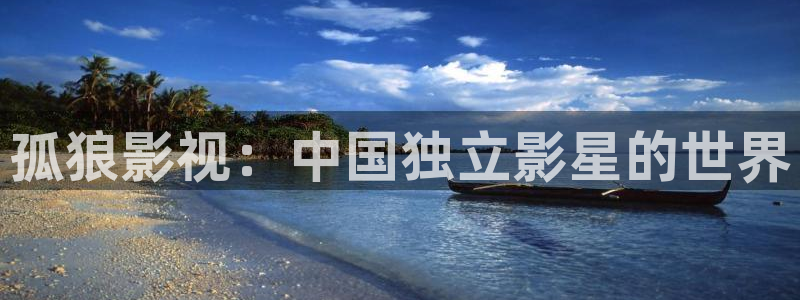 孤狼影视：中国独立影星的世界