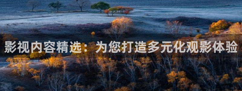 影视内容精选：为您打造多元化观影体验