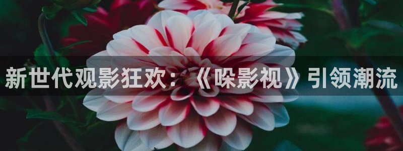 新世代观影狂欢：《哚影视》引领潮流