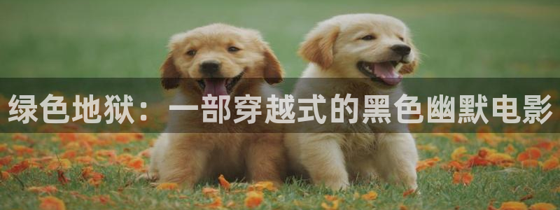 绿色地狱：一部穿越式的黑色幽默电影