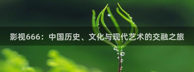 影视666：中国历史、文化与现代艺术的交融之旅