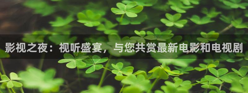 影视之夜：视听盛宴，与您共赏最新电影和电视剧