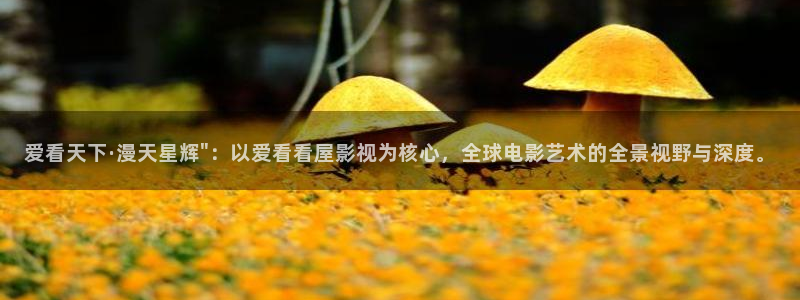 爱看天下·漫天星辉\
