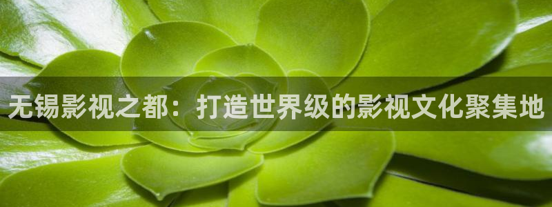 无锡影视之都：打造世界级的影视文化聚集地