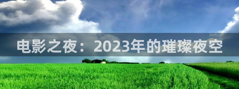 电影之夜：2023年的璀璨夜空